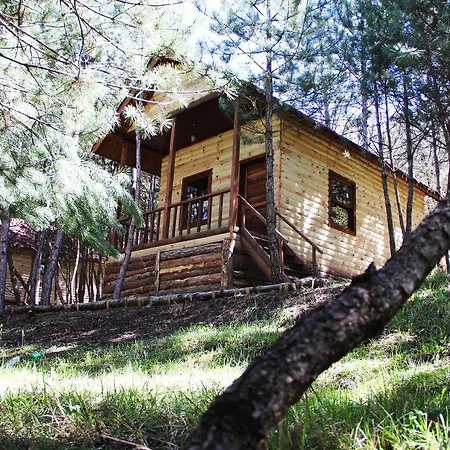 Chalet Cam Pinari Doga Evleri Mengen