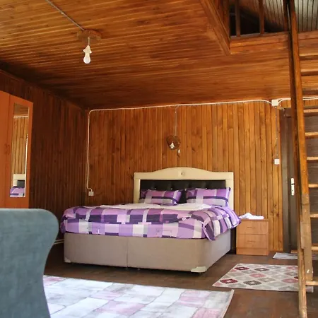 Chalet Cam Pinari Doga Evleri Mengen