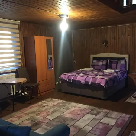 Chalet Cam Pinari Doga Evleri