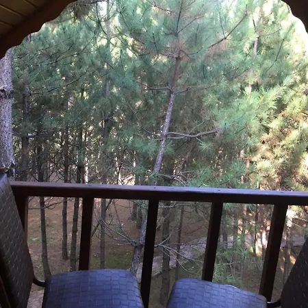 Cam Pinari Doga Evleri Chalet