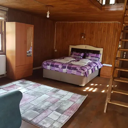 Chalet Cam Pinari Doga Evleri Mengen